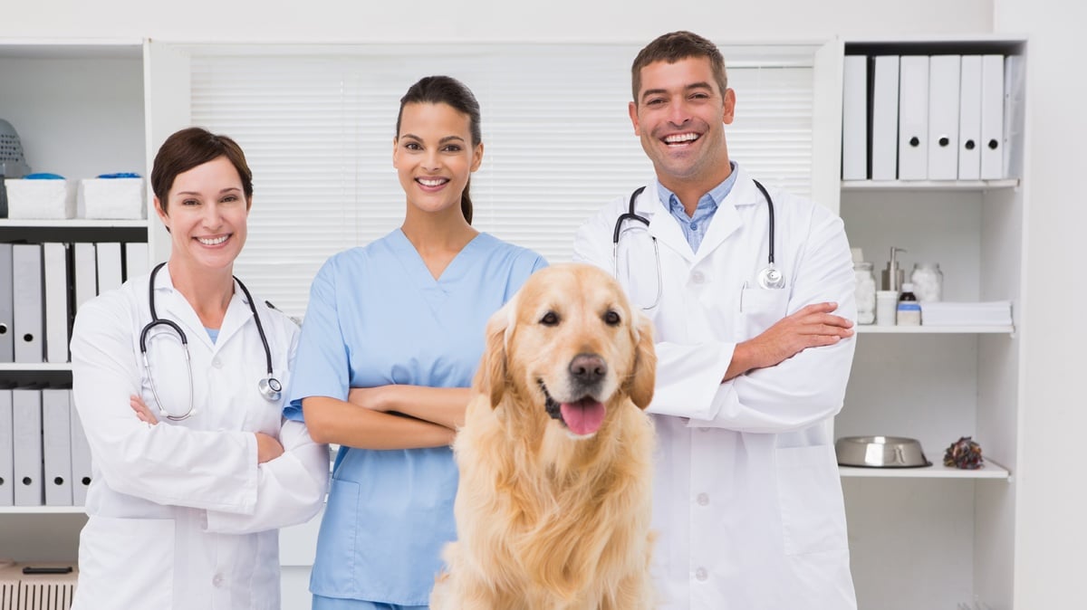 So what EXACTLY is the Dress Code in a Veterinary Setting?